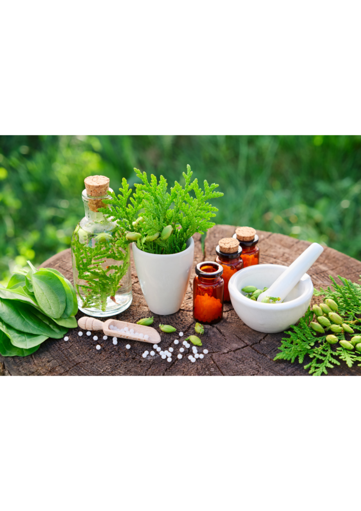 Image illustrant la naturopathie